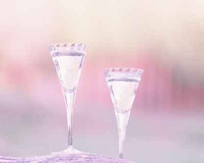 酒的造型透明酒 酒的造型透明酒