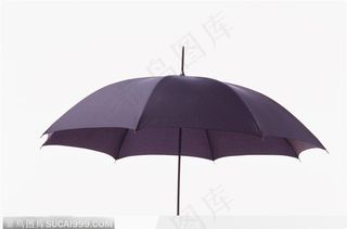 紫色雨伞