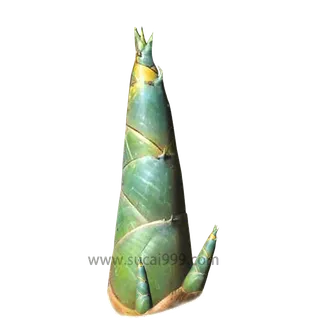 山竹笋实物免扣素材