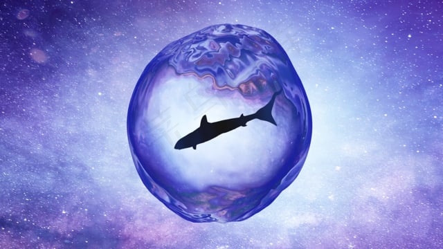 鲨鱼, 水, 空间, 海洋, 捕食者, 波, 宇宙, 摘要