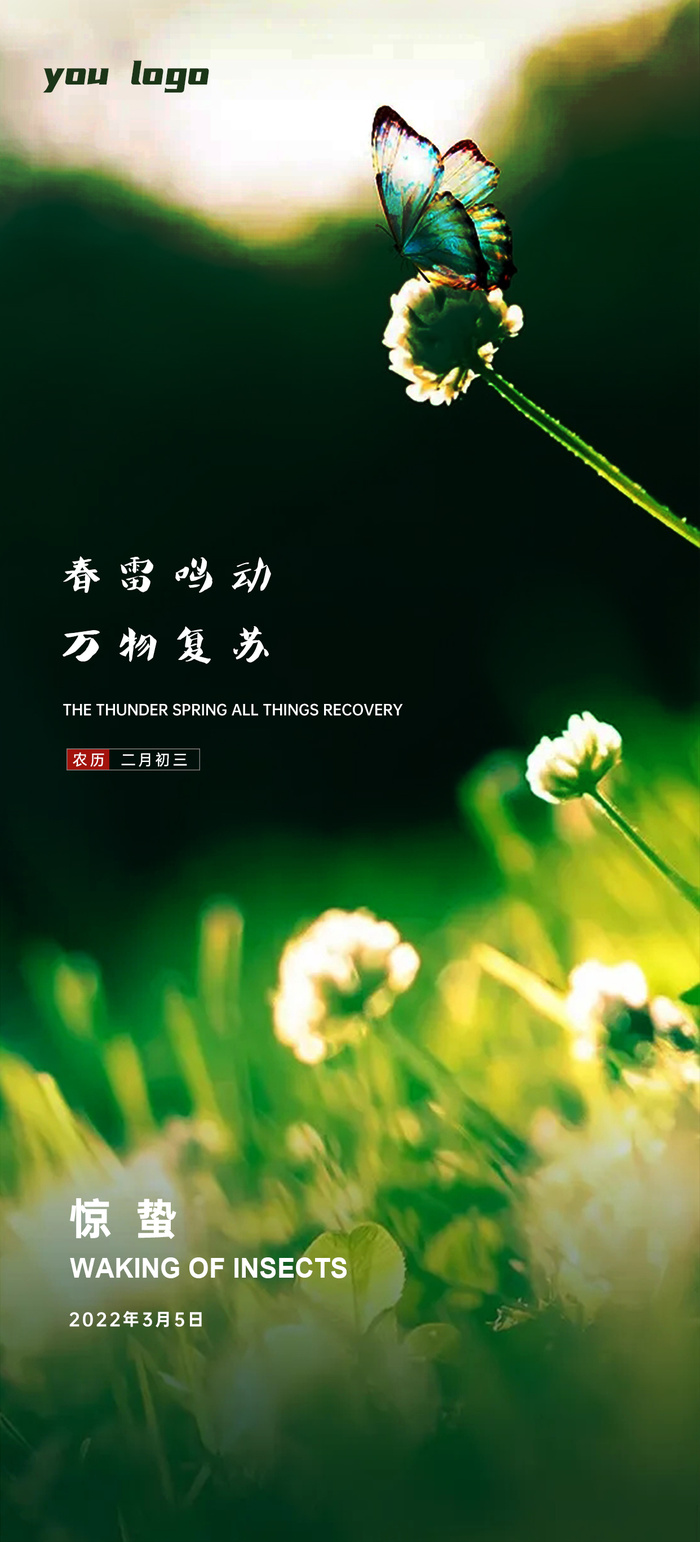 惊蛰节气海报设计PSD素材psd模版下载