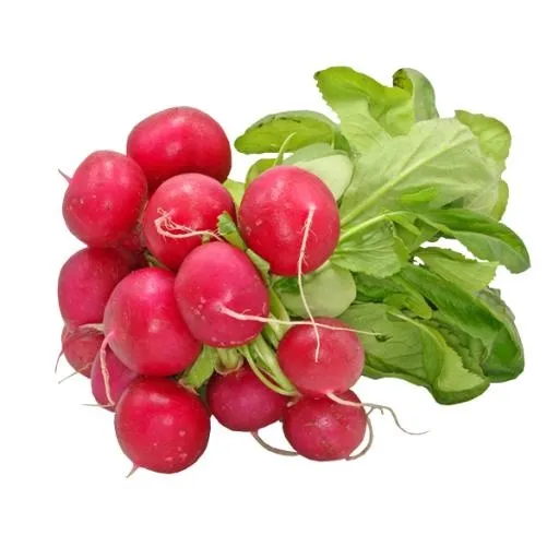 萝卜 PNG免抠(600x600)