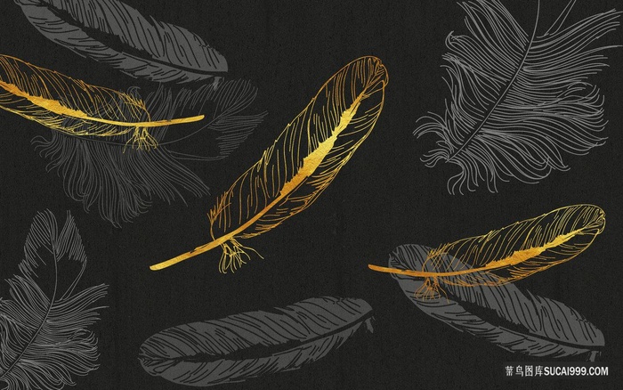羽毛线描时尚艺术装饰画