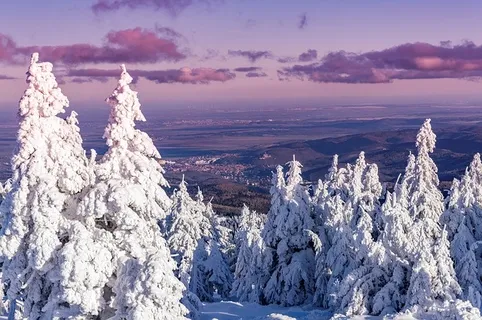 冬天白雪背景风景 冬天白雪背景风景