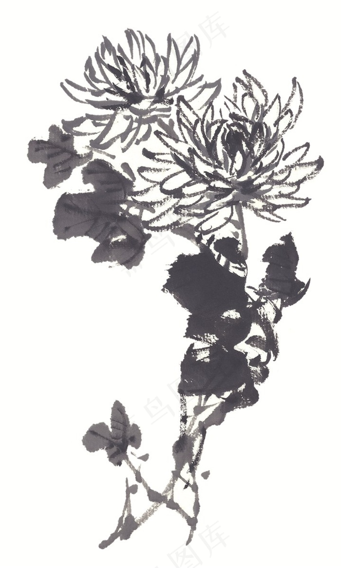 花卉绘画摄影图片