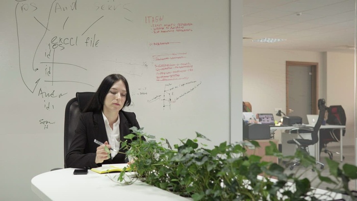 递她的上司一份报告的妇女