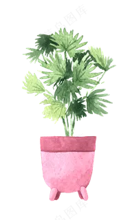 水彩插画-植物33