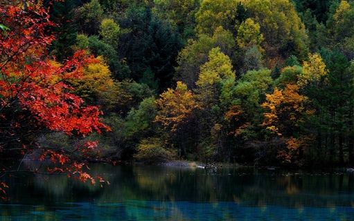 四川九寨沟秋景大图