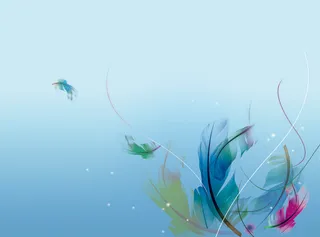 手绘羽毛蓝色背景