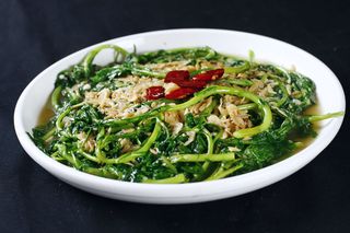 R02190虾米茼蒿 (3)