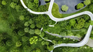 公园 绿色树林森林自然俯拍