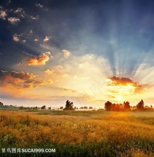 霞光倾泻田野背景高清图片