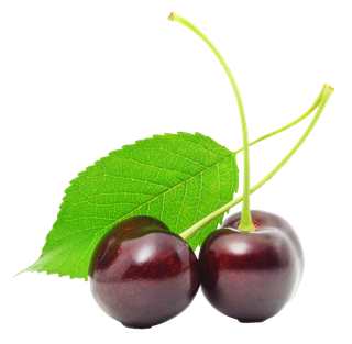 车厘子水果超市商品白底图免抠实物摄影png格式图片透明底