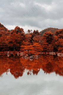 秋天红色树林倒影图片