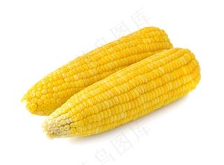 两根黄色的玉米