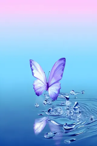 水滴蝴蝶创新渐变背景