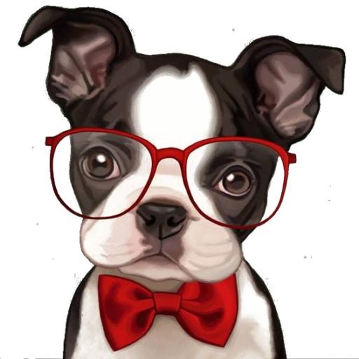 斗牛犬 PNG免抠(564x564)
