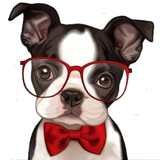 斗牛犬 PNG免抠(564x564)