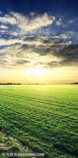 平原草原-蓝天下的草原