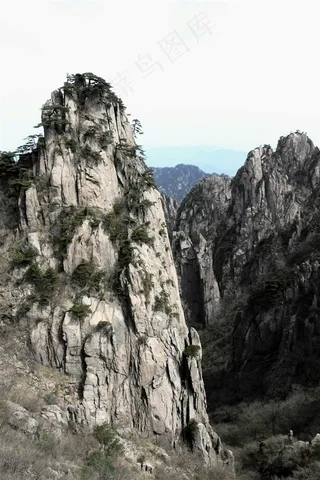 石峰石壁上的迎客松