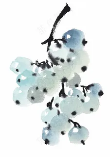 国画瓜果蔬菜鱼虾蟹工笔素材