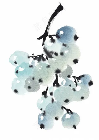 国画瓜果蔬菜鱼虾蟹工笔素材