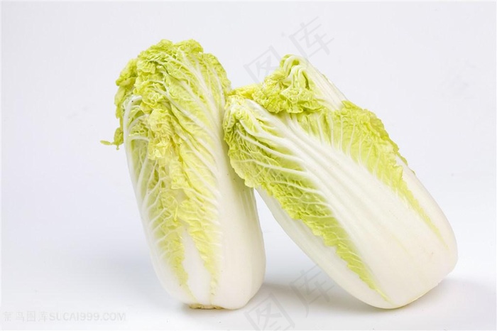 新鲜白菜图片