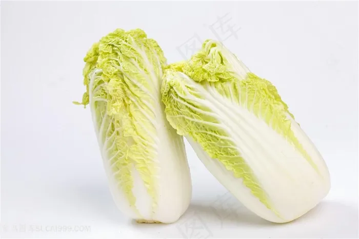 新鲜白菜图片