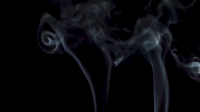 神秘, 雾, 恐惧, 万圣节, 黑暗的, 幻想, 低温冷害