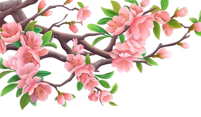 粉色花朵树枝元素(1424x832)