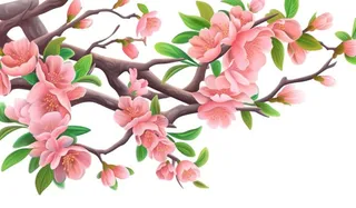 粉色花朵树枝元素