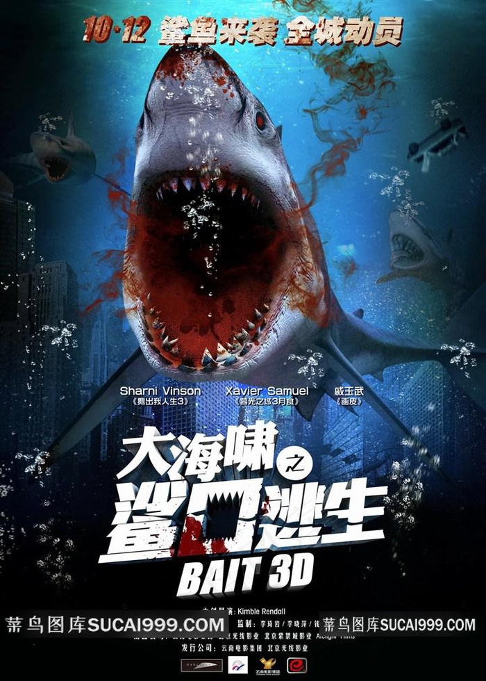 海洋里的鲨鱼