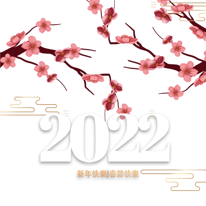 2022新年艺术创意字体虎年3D立体标题数字文字png免抠字素材