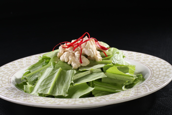 L00951桃仁油麦菜 (11)