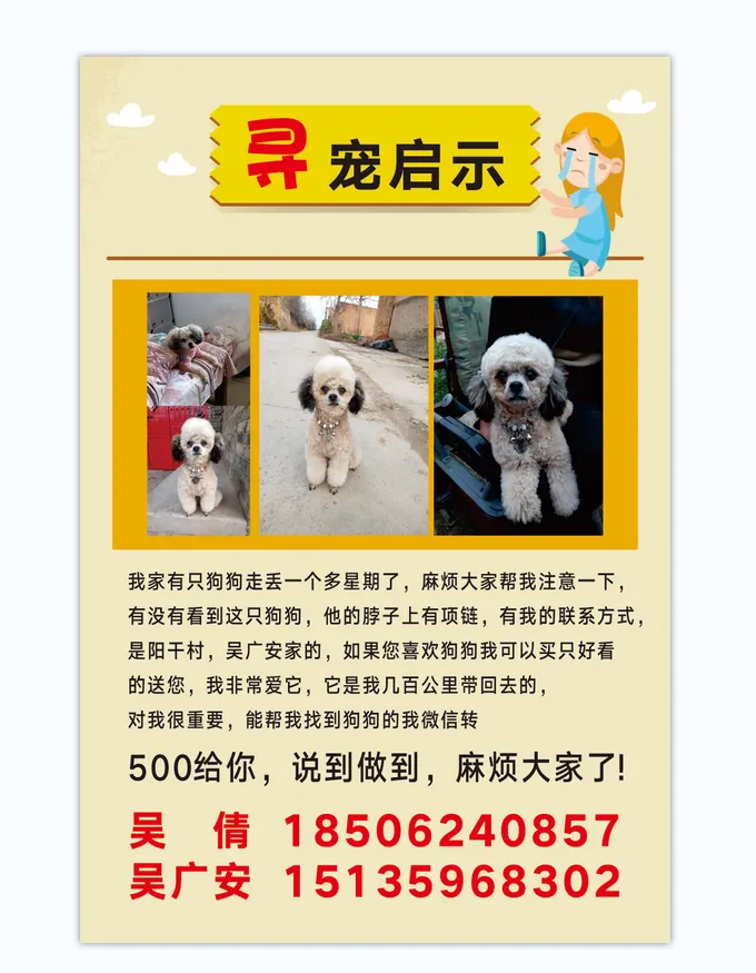寻狗启示黄色简约海报cdr矢量模版下载