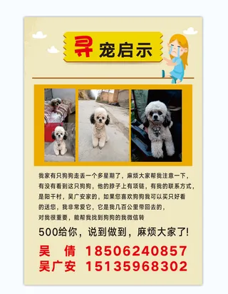 寻狗启示黄色简约海报