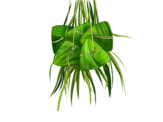 绿色手绘卡通端午节粽子美食传统节日元素PNG素材