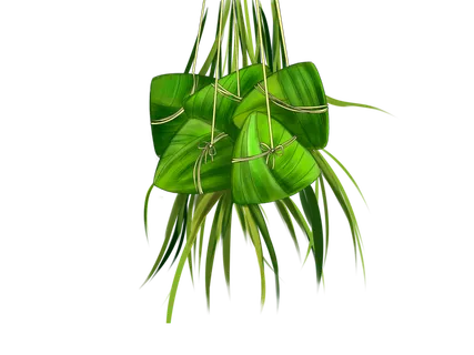 绿色手绘卡通端午节粽子美食传统节日元素PNG素材 绿色手绘卡通端午节粽子美食传统节日元素PNG素材