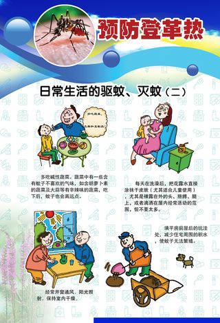 预防登革热宣传系列挂图海报