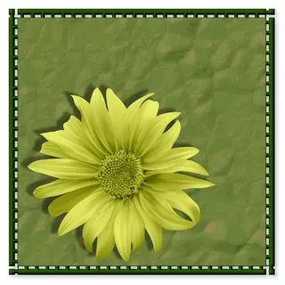 绿色透明背景相框图片