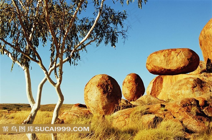 荒野自然奇观图片下载