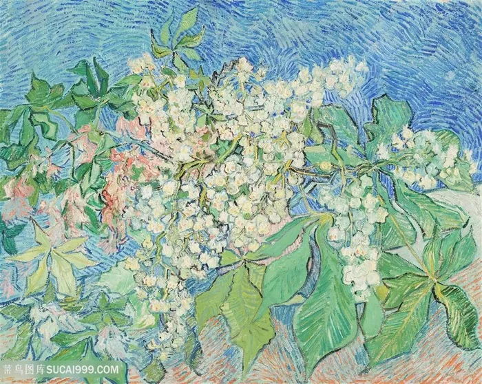 唯美花卉枝叶海景装饰画