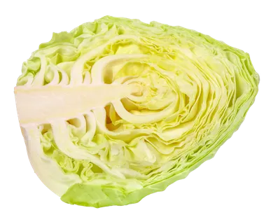 包菜 (12)超市商品白底图免抠实物摄影png格式图片透明底