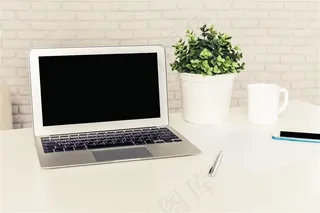 桌上的植物与笔记本电脑