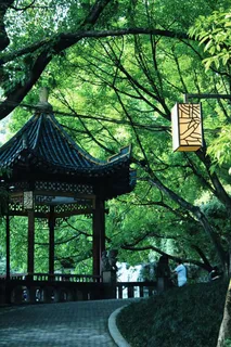 高清园林绿色清新图