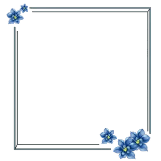 方形蓝色边框