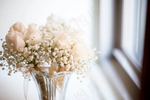 白玫瑰配满天星图片 白玫瑰配满天星图片