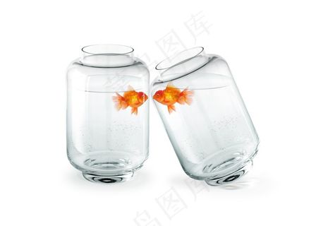 鱼缸的鱼高清图片