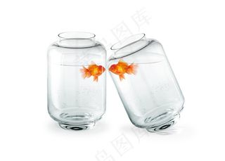 鱼缸的鱼高清图片