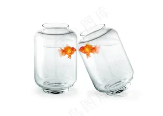 鱼缸的鱼高清图片